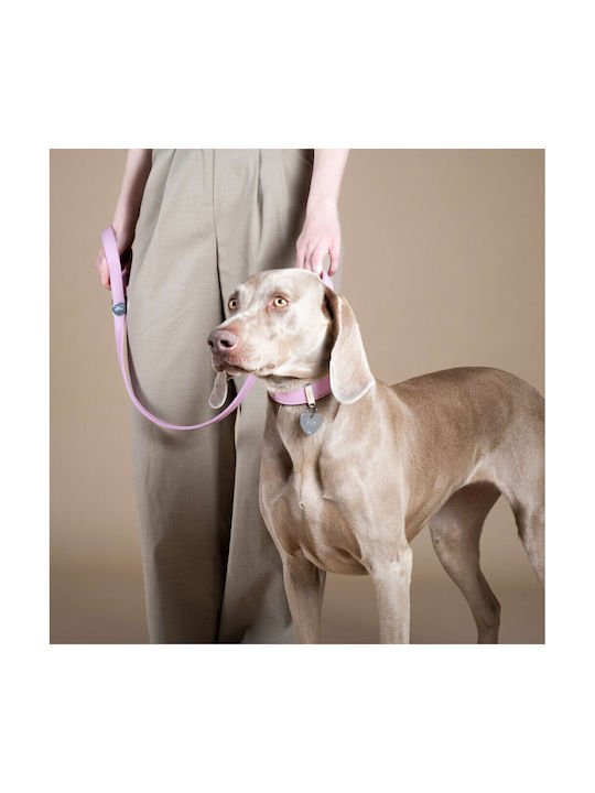 Leder Hundehalsband My Family Wisteria Hermitage Rosa Mittel