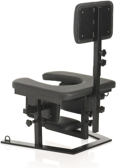 Master Series Pleasure Swing