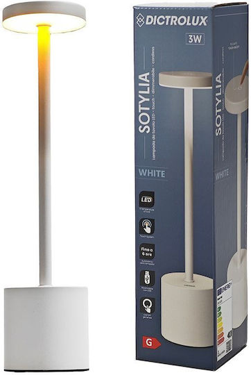 General Trade Dekorative Lampe 2Stück