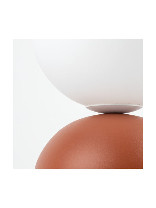 TK Lighting Διακοσμητικό Φωτιστικό G9 12x12x21εκ.