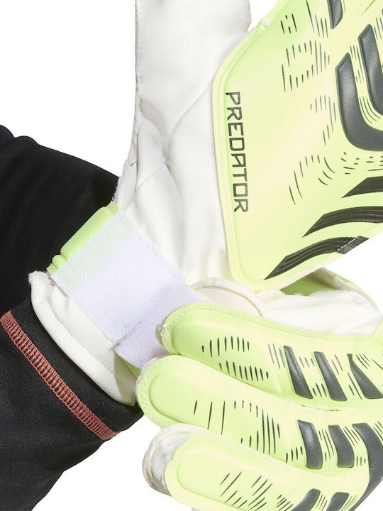 adidas Predator Training Γάντια Τερματοφύλακα Ενηλίκων Πράσινα