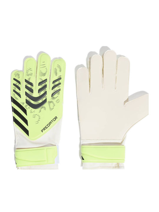 adidas Predator Training Γάντια Τερματοφύλακα Ενηλίκων Πράσινα