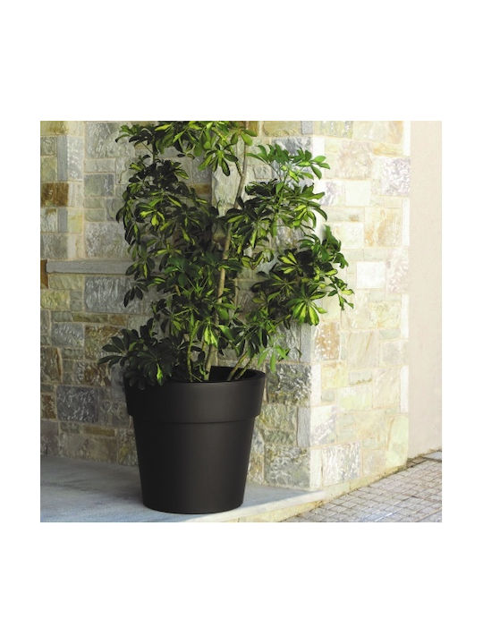 Viomes Topf Rose 20x20x18cm.