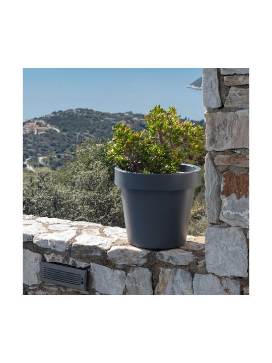 Viomes Γλάστρα Πρασ/κιτρινο