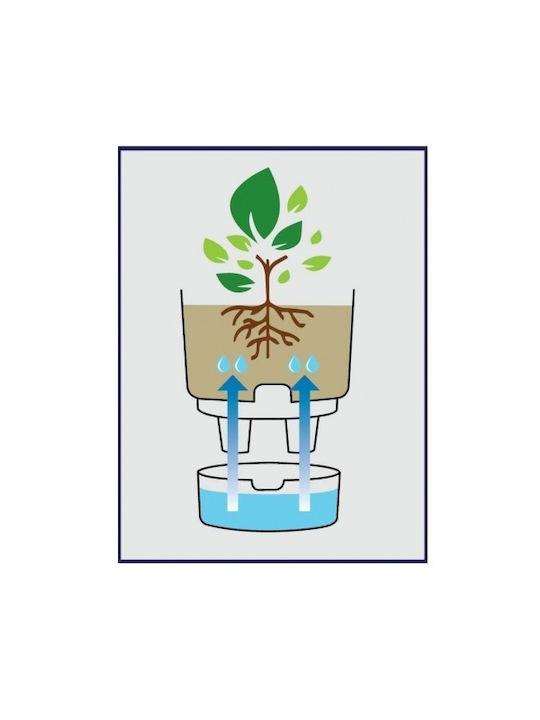 Viomes Vita Pot Πρασ/κιτρινο with Saucer