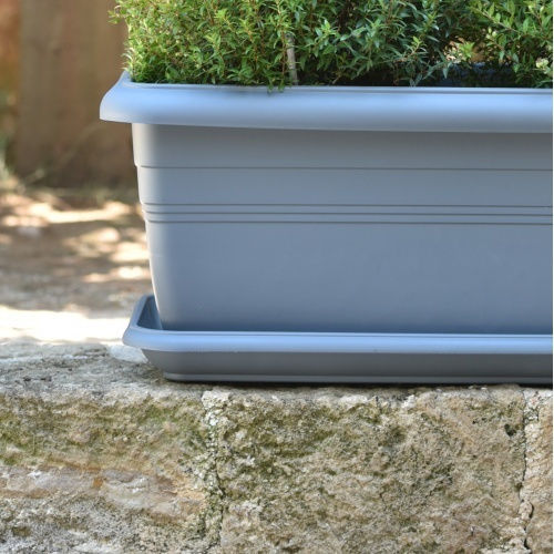 Viomes Plate Pot