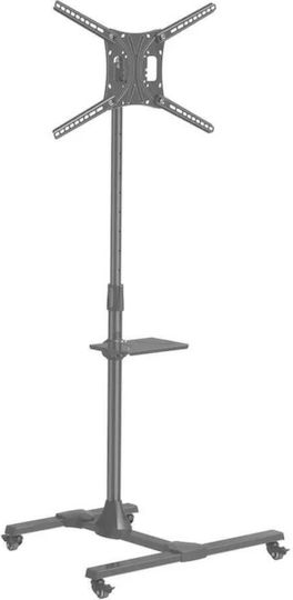 Barkan SW411H Βάση Τηλεόρασης Δαπέδου έως 60" και 50kg