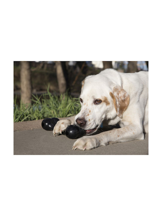 Kong Goodie Dog Bone Chewing Toy Rubber Large 21.5cm Black 1pc