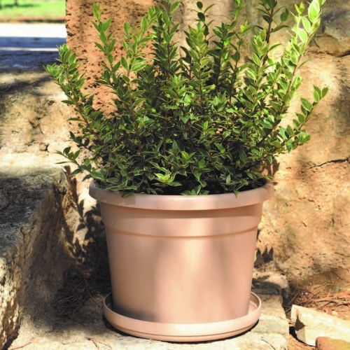 Viomes Cylindro Γλάστρα Viomes Cylindro Γλάστρα
