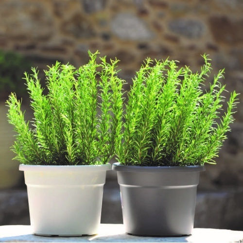 Cylindro 2 7lt-d20x15h Cm-Σελ Μπλε Pflanzgefäß