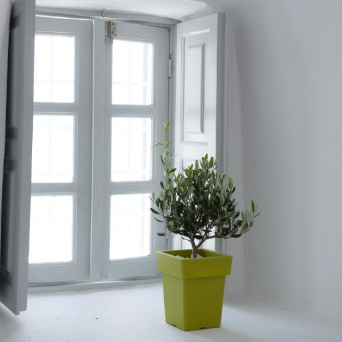 Γλαστρα Tetp Linea 7 5lt-21x21x26h Cm-μπρονζε Γλαστρα Tetp Linea 7 5lt-21x21x26h Cm-μπρονζε