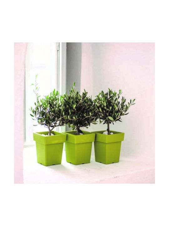 Γλαστρα Tetp Linea 7 5lt-21x21x26h Cm-μπρονζε