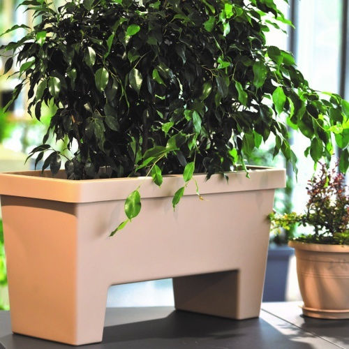 Lotus 60lt Blumenkasten 79x34 5x40 5h Cm-Weiß