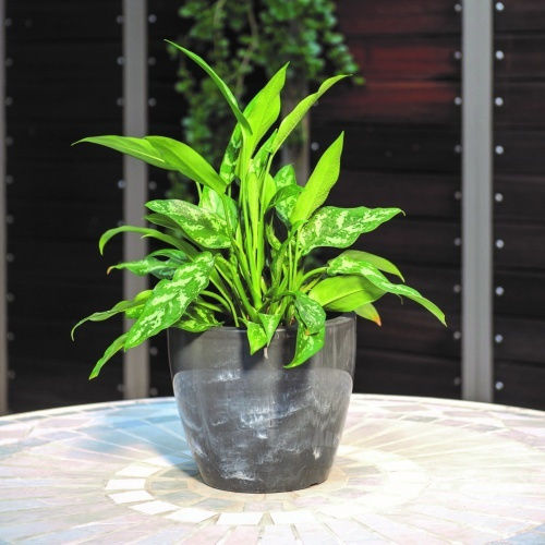 Каспо Linea Natura 13л-смоук 30x25хсм Каспо Linea Natura 13л-смоук 30x25хсм