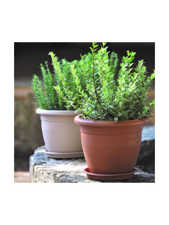 Viomes Terracotta Pot Plastic Terracotta 23x23x18cm.