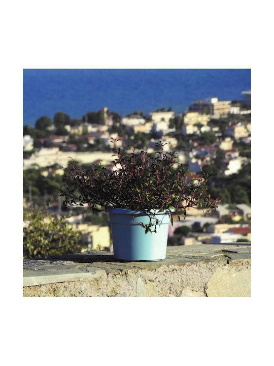 Viomes Cylindro Pot Plastic Sky Blue 35x35x26cm.