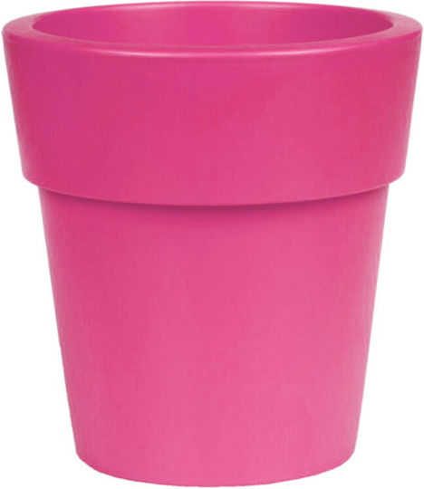 Rose Flower Pot Rose Flower Pot