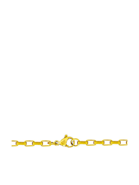 Kiriakos Gofas Chain Neck made of Steel Gold-plated Thin Thickness 3mm