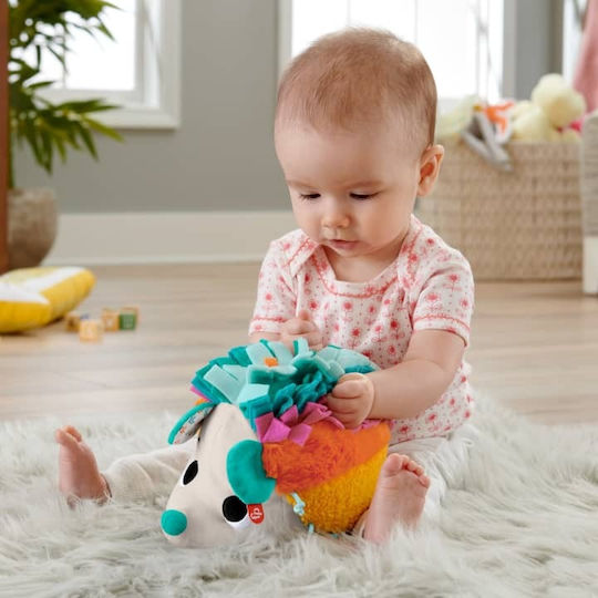 Fisher Price Animal Soft Hedgehog - Rainbow made of Fabric with Sounds for 3++ Months