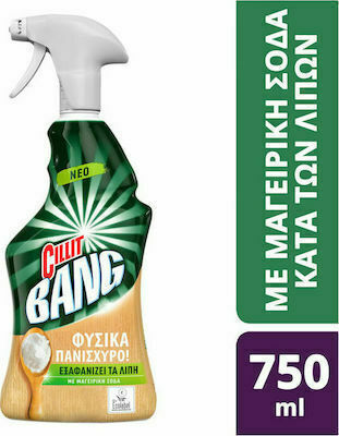 Cillit Bang Power Cleaner Καθαριστικό Spray Κατά των Αλάτων με Άρωμα Limescale & Grime 750ml