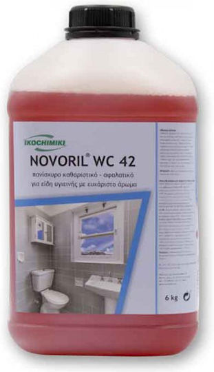 Ikochimiki Professionell Novoril 42 Dickflüssiger Reiniger Anti-Kalkmittel 6lt