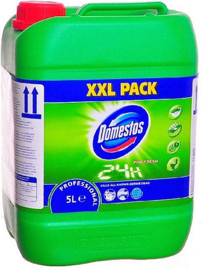 Domestos Professional Bleach Gel with Scent Pine Fresh 5lt
