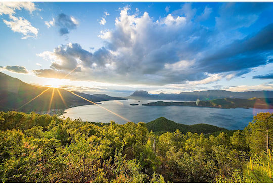 Laowa Full Frame Φωτογραφικός Φακός 12mm f/2.8 Lite Zero-D MF Wide Angle για Canon RF Mount Μαύρος