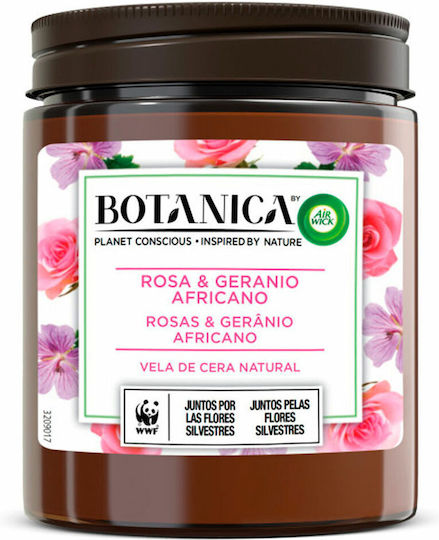 Airwick Aromatisch Kerze Botanica in Gefäß mit Parfüm Rose & Afrikanische Geranie
