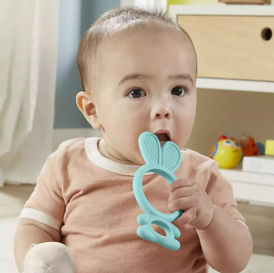 Fisher Price Μασητικό Οδοντοφυΐας για 3 m+