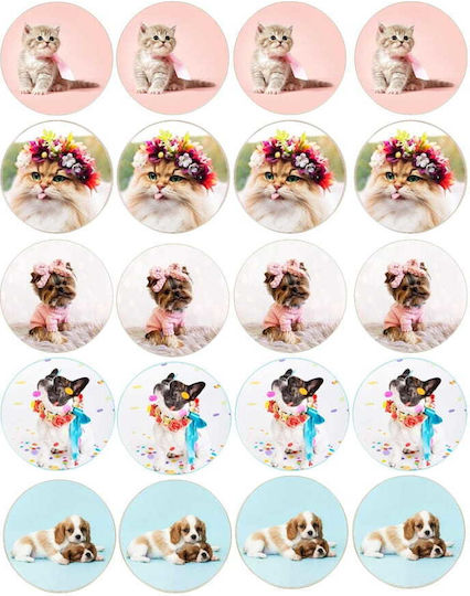 Cake Land Suport din hârtie pentru Cupcake 20pcs