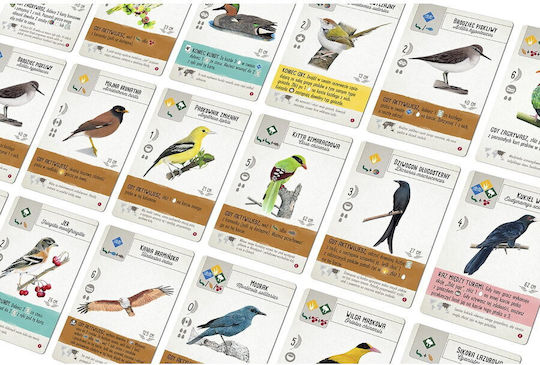 Game Expansion Playing on Wings: Birds of Asia for 1-7 Players 10+ Years Old (PL) Rebel Games