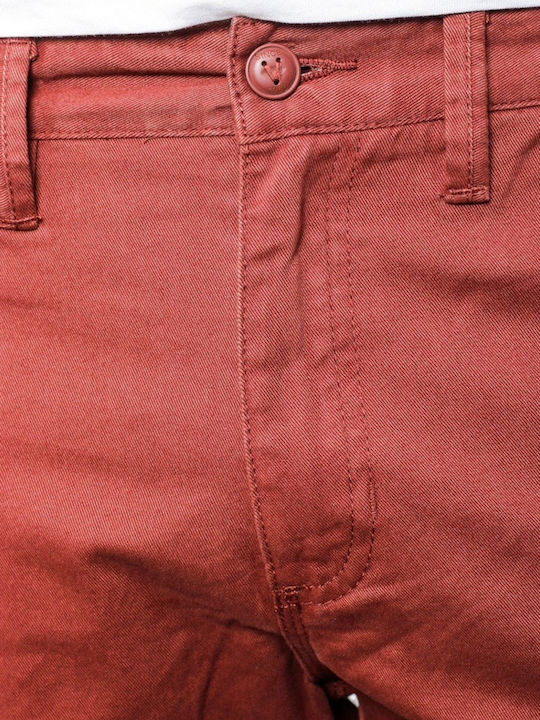 Trousers Chino Brown