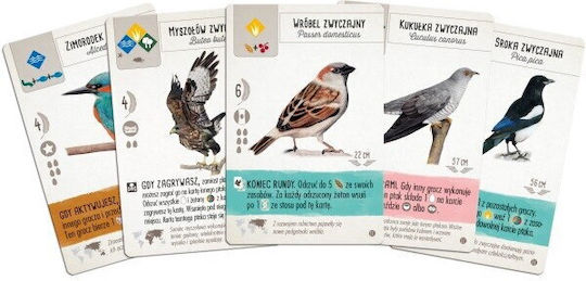 Game Expansion Game on Wings Expansion: Birds of Europe for 1+ Players 10+ Years Old (PL) Rebel Games