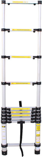 Vesta Telescopic Ladder Aluminum 10 of Steps with Maximum Height 2.9m