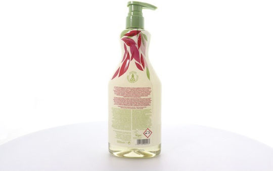 Αρκάδι Υγρό Πιάτων 550ml