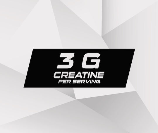 Prozis Creatine Monohydrate 600gr