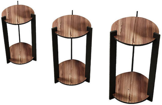 Hanah Home Ανθοστήλες Ξύλινες Καφέ 23x23x30εκ. 3τμχ