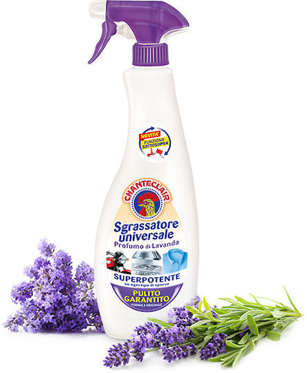 Chante Clair Liquid Cleaning for Body with Scent Lavender 600ml