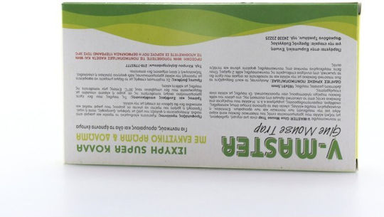 V Master Leimfalle aus Plastik 2Stück