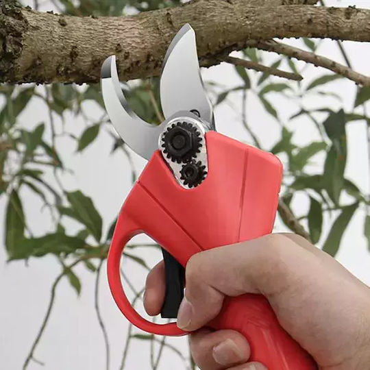 Set Chainsaw & Grass Cutter & Pruning Shear 48V with 2 Batteries