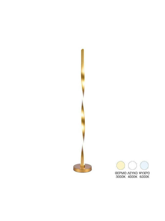 Pakketo Pelepho LED Floor Lamp H130xW20cm. Gold