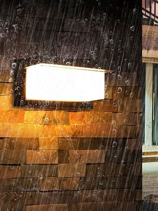 Lvt Επιτοίχια Εξωτερική Πλαφονιέρα LED IP54 12W με Φυσικό Λευκό Φως