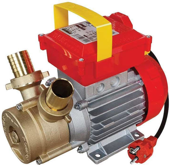 Rover Pompe BE-M 30 CE Single-Phase Transfer Pump with Fluid Inlet Size 1 - 1/4 and Horsepower 0.9hp