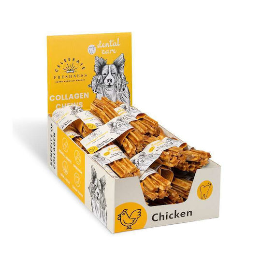 Celebrate Freshness Bone Training for Dogs with Flavor Chicken