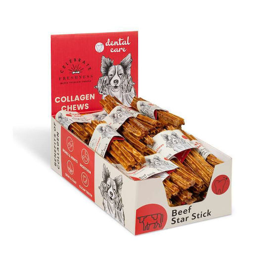 Celebrate Freshness Bone Training for Dogs with Flavor Beef