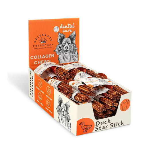Celebrate Freshness Bone Training for Dogs with Flavor Duck