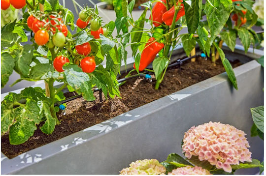 Gardena Gardena Automatische Bewässerungssysteme Mikro-Training-System / Tropfen Für 30 Pflanzen