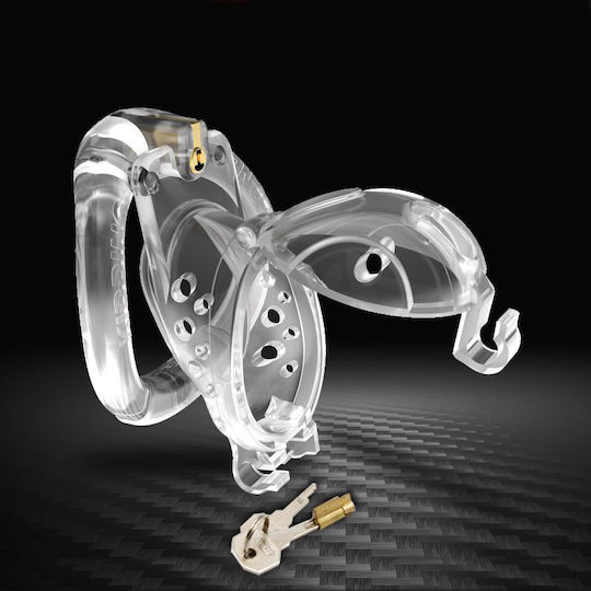 Double Key Bird Cock Cage Clear Include 4 Rings