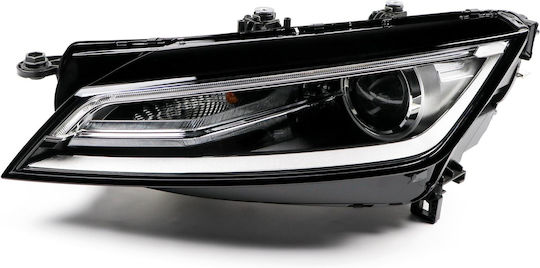 Magneti Marelli Front Lights for Audi TT