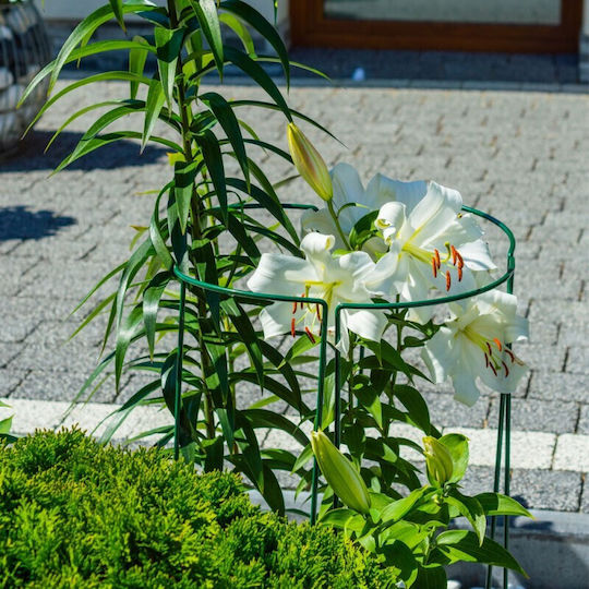 Metal Plant Stakes Set 3 Pieces Green 15x45 Cm